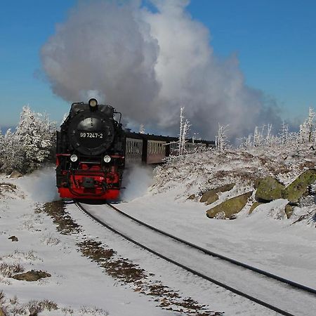 Harzparadies Ilfeld Buitenkant foto