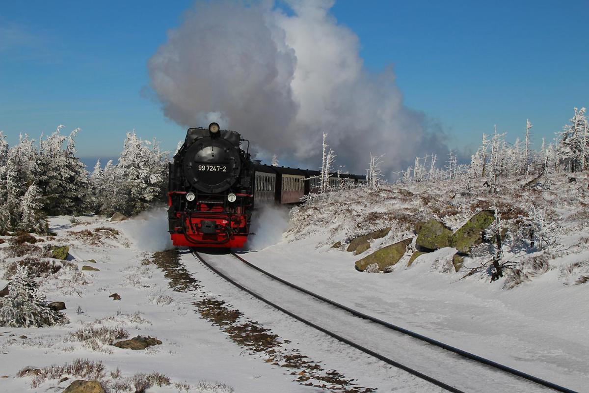 Harzparadies Ilfeld Buitenkant foto